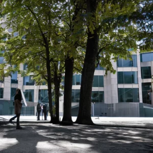 Artistic representation for 7 out of 10 B . C . post - secondary students financially unstable : survey results